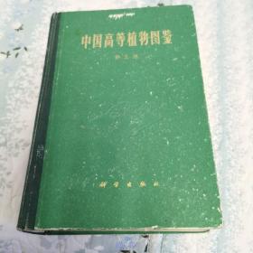 中国高等植物图鉴第五册