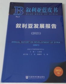 叙利亚发展报告（2021）