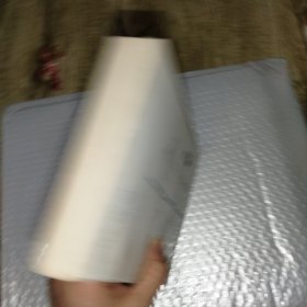 游子
