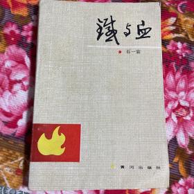 石一宸将军回忆录—铁与血