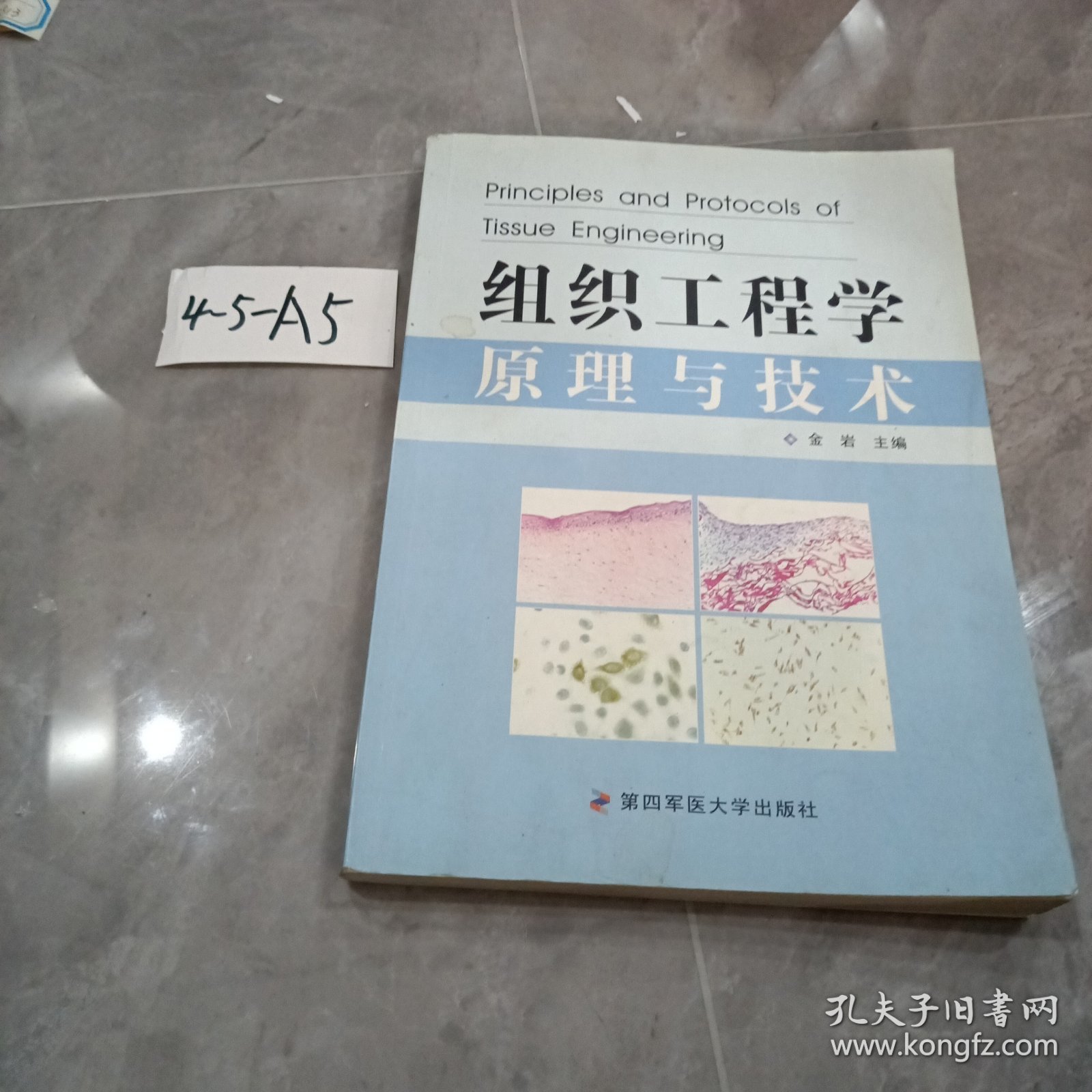 组织工程学原理与技术