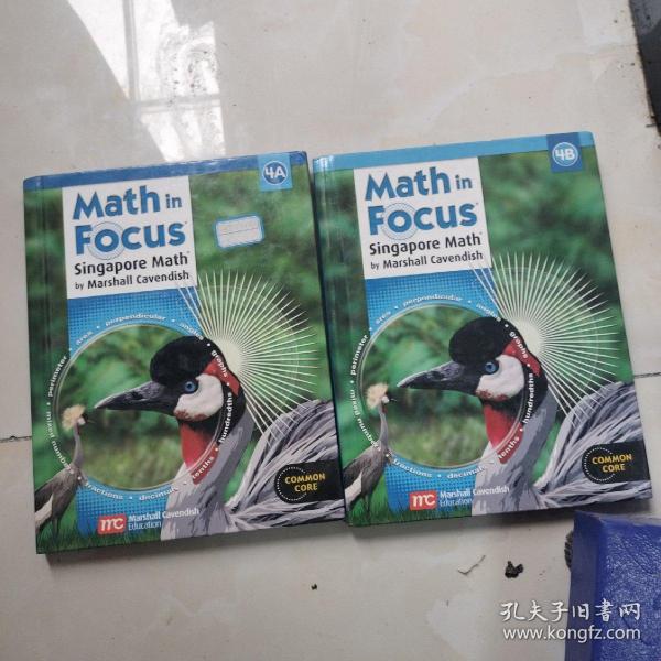 Math in Focus：Singapore Math by Marshall Cavendish（4A和4B两本合售）有一点点铅笔填空