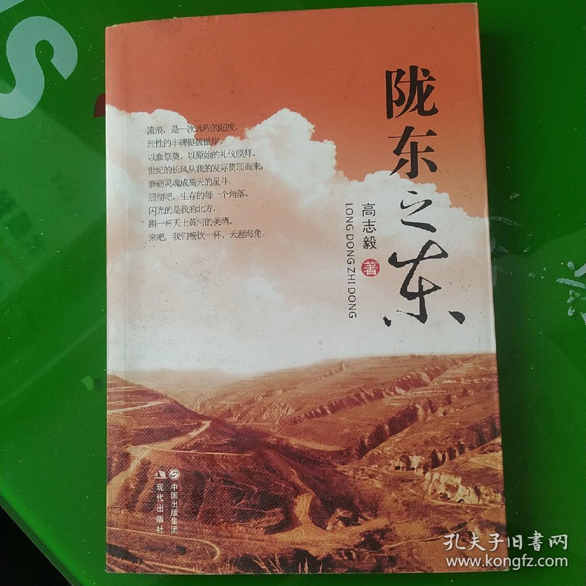 陇东之东