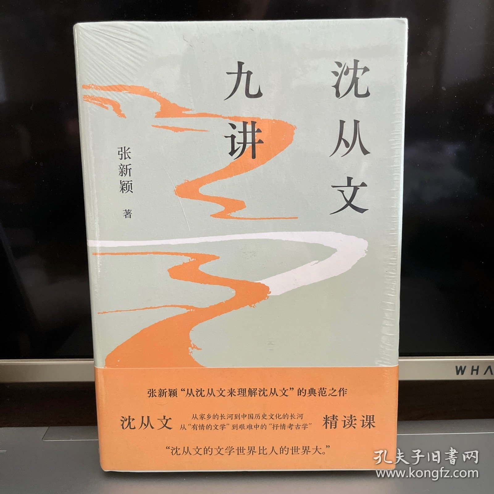 沈从文九讲（张新颖作品 “沈从文精读课”二十周年精装纪念版 ）