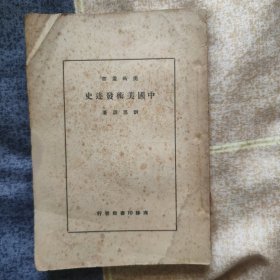 中國美術(shù)發(fā)達(dá)史