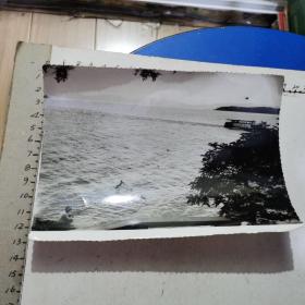 老照片：悠闲太湖边（一位男士在太湖边垂钓、湖中还有一艘游轮丶尺寸：18.2×13.5cm、80年代）
