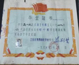 65年毕业证
