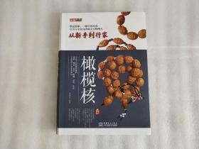 品鉴系列 橄榄核