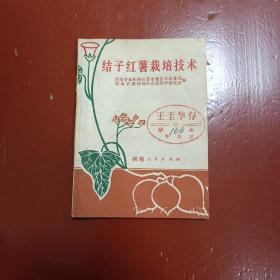 结子红薯栽培技术