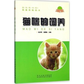 猫咪的饲养