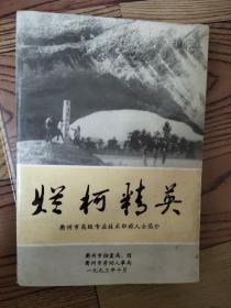 烂柯精英