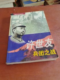 许世友兵团之战