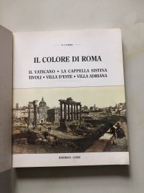 IL COLORE DI Roma 罗马的色彩【意大利文原版 画册】