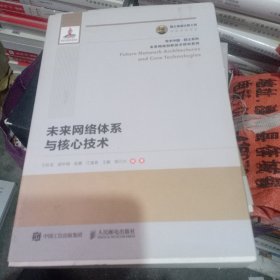 国之重器出版工程 未来网络体系与核心技术