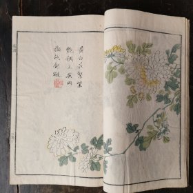 白纸精刻套印，嘉庆年《菊谱》！芥子园焕记