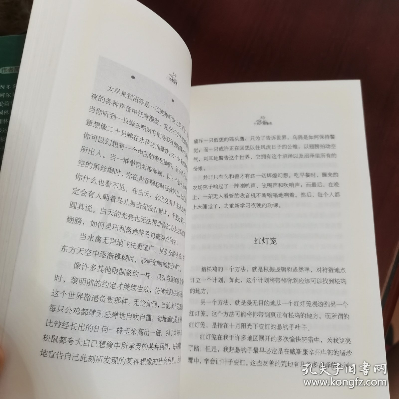 沙郡岁月