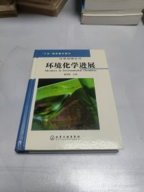 环境化学进展