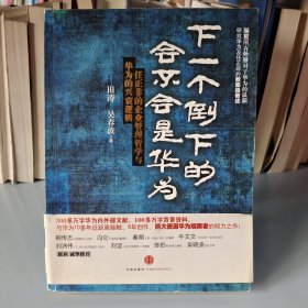 下一个倒下的会不会是华为：任正非的企业管理哲学与华为的兴衰逻辑