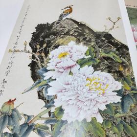 美术教学示范作品——工笔牡丹生宣画法