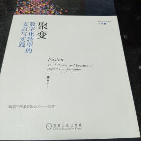 聚变：数字化转型的支点与实践