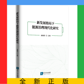 新發(fā)展格局下能源治理現(xiàn)代化研究