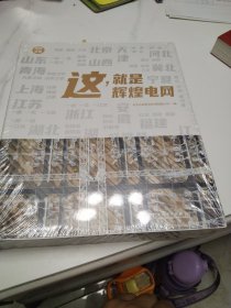 这，就是辉煌电网