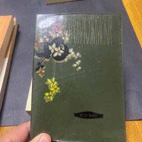老笔记本（内含整骨、练功笔记）