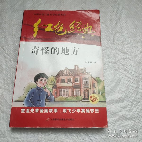 红色经典—奇怪的地方 中国红色儿童文学经典系列 小学生四五六年级课外书 少年励志红色经典书籍故事书 革命传统教育读本爱国