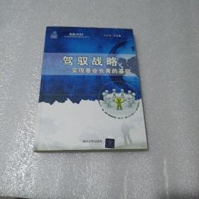 决战2020·北大纵横管理咨询集团系列丛书·驾驭战略：实现基业长青的基础