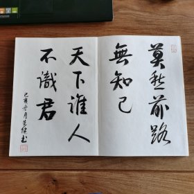 8开大本精品连环画名家毛笔书法册页：《海上名家书法集》 (册页长35厘米，宽25厘米)