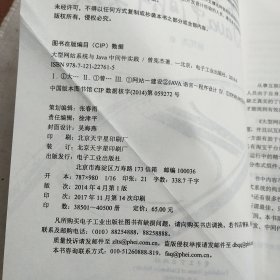 大型网站系统与Java中间件开发实践