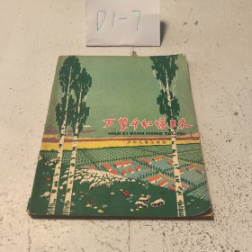 萬紫千塔里木
