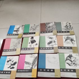 中国画技法入门（12册）如图