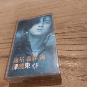 磁带 陈晓东 流星 森林 雨