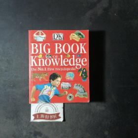 Big Book of Knowledge