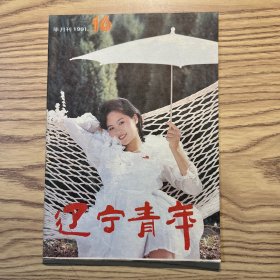 辽宁青年1991年第16期