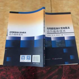 高填路堤预应变加筋及动力强夯技术