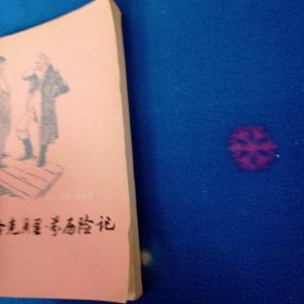 哈克贝里。芬厉险记
