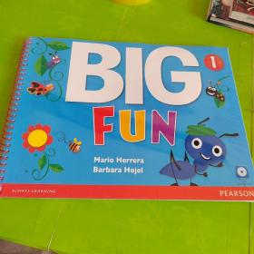 BIG FUN 1