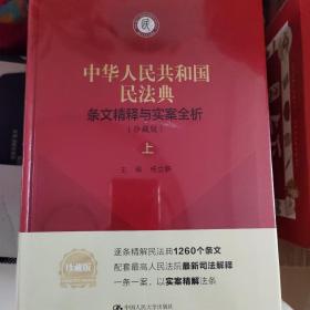 《中华人民共和国民法典》条文精释与实案全析（珍藏版）