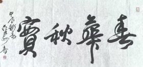范迪安四尺书法