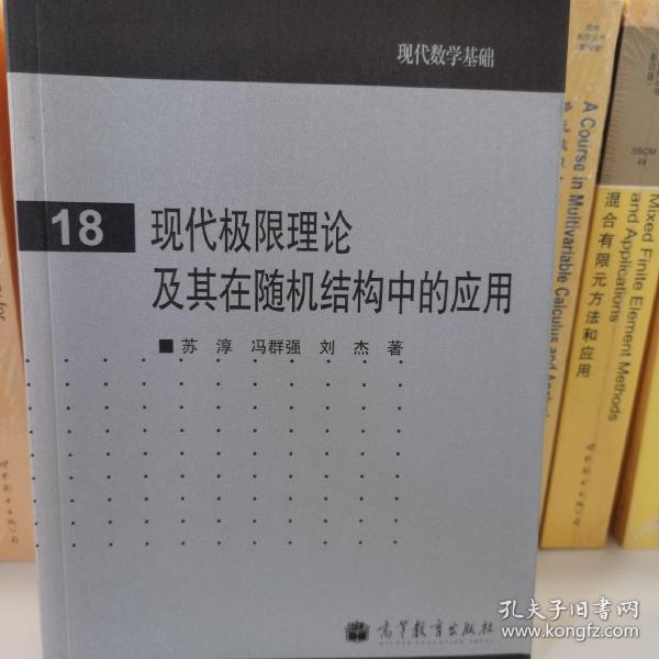 现代极限理论及其在随机结构中的应用