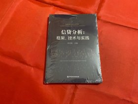 信贷分析：框架、技术与实践