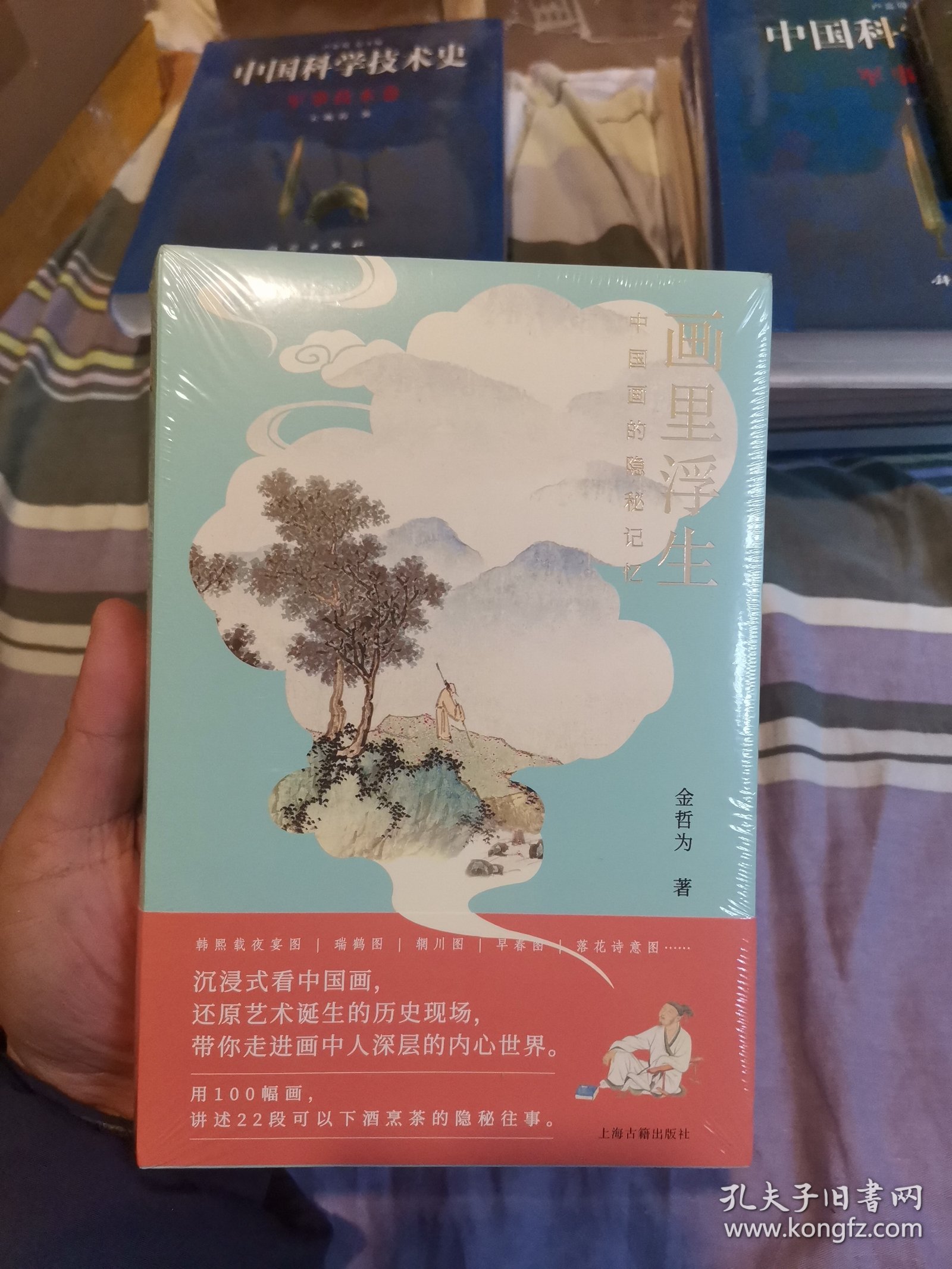 画里浮生：中国画的隐秘记忆