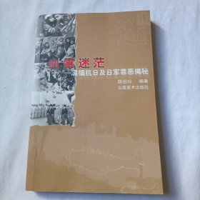 血雾迷茫：滇缅抗日及日军罪恶揭秘