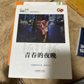 青春·未来中国青年摄影师丛书：青春的夜晚