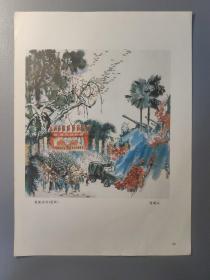 宣传画：印刷品  （国画）祝捷庆功  张道兴绘  1979年战士版25.5X18cm     档案盒 D