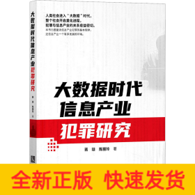 大数据时代信息产业犯罪研究