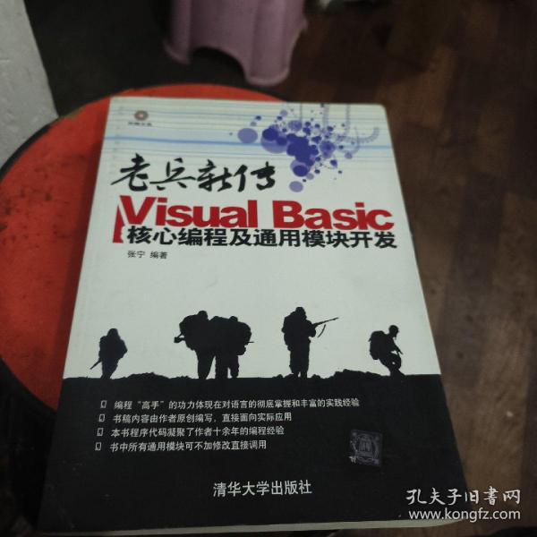 老兵新传：Visual Basic核心编程及通用模块开发