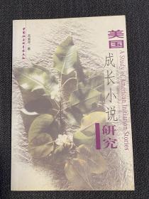 美国成长小说研究